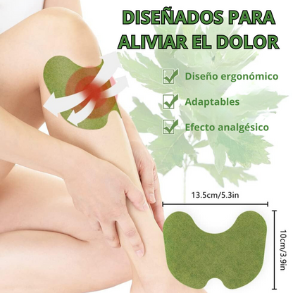 PARCHES PARA EL ALIVIO DEL DOLOR - ACWOO™