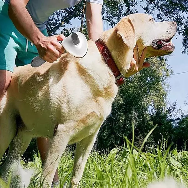 CEPILLO RENOVADOR PARA MASCOTAS