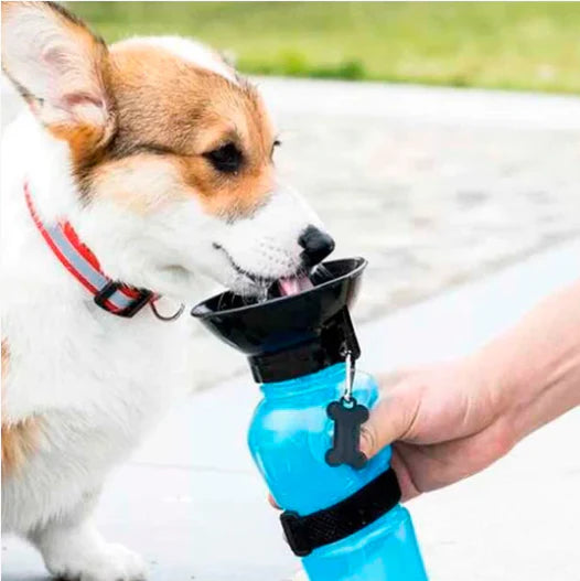 TERMO PARA MASCOTAS PORTA AGUA